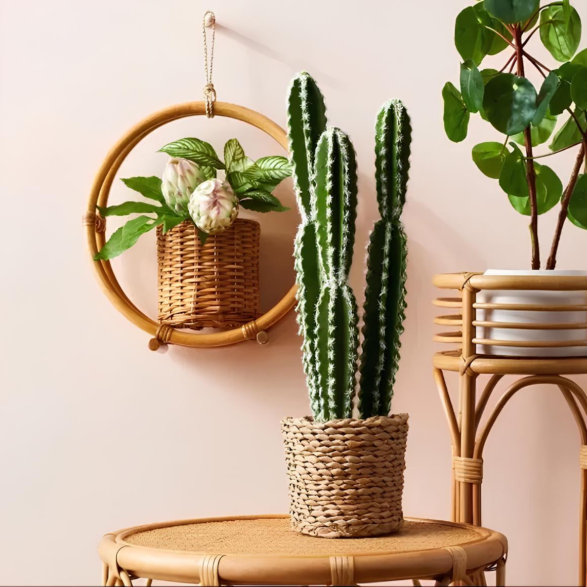 Rattan Hanging Plant Pots | Cane Hanging Flower Pots | Bamboo Hanging Planters - Ishita - Akway