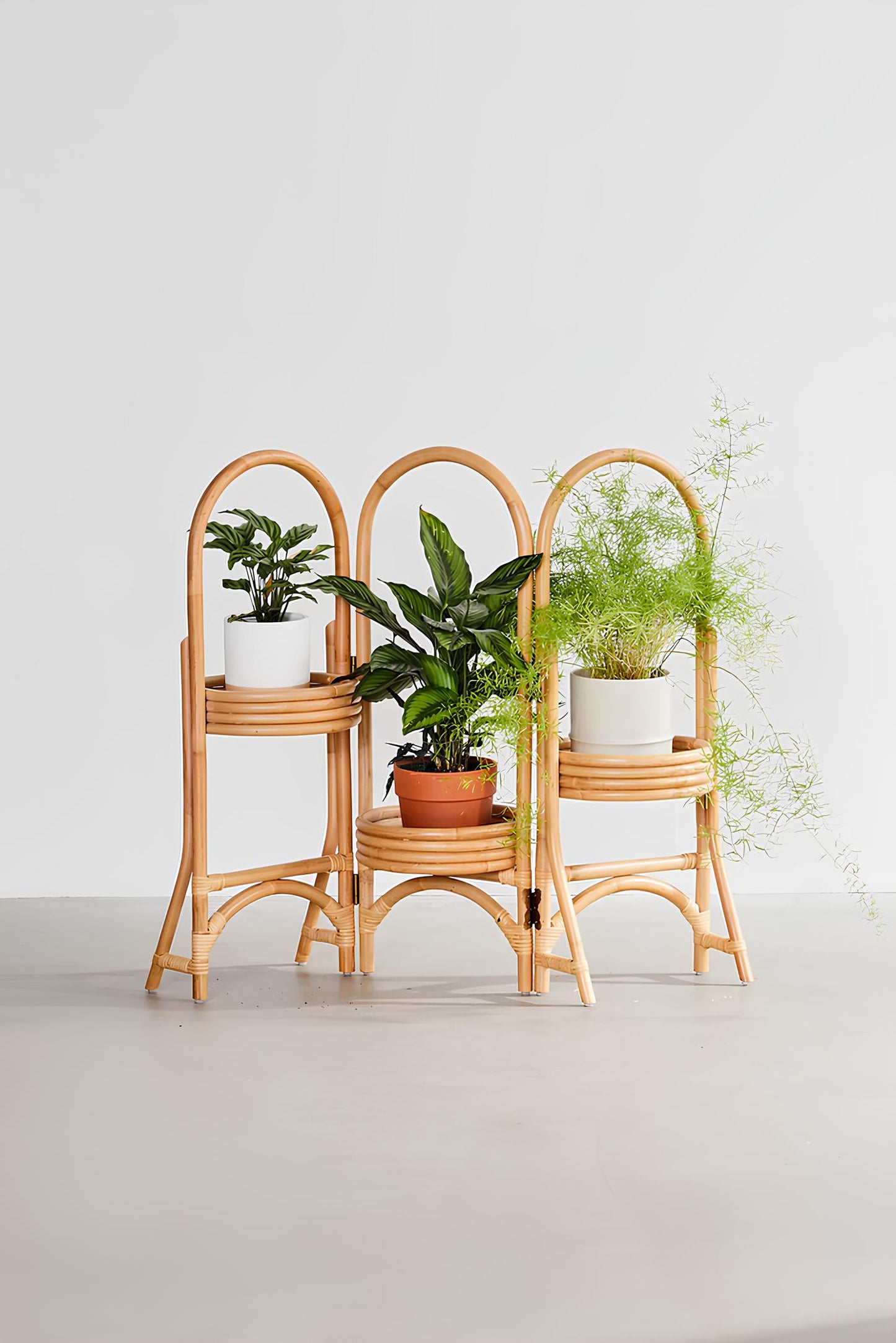 Rattan Plant Pots | Cane Flower Pots | Bamboo Planters - Kashvi - Akway