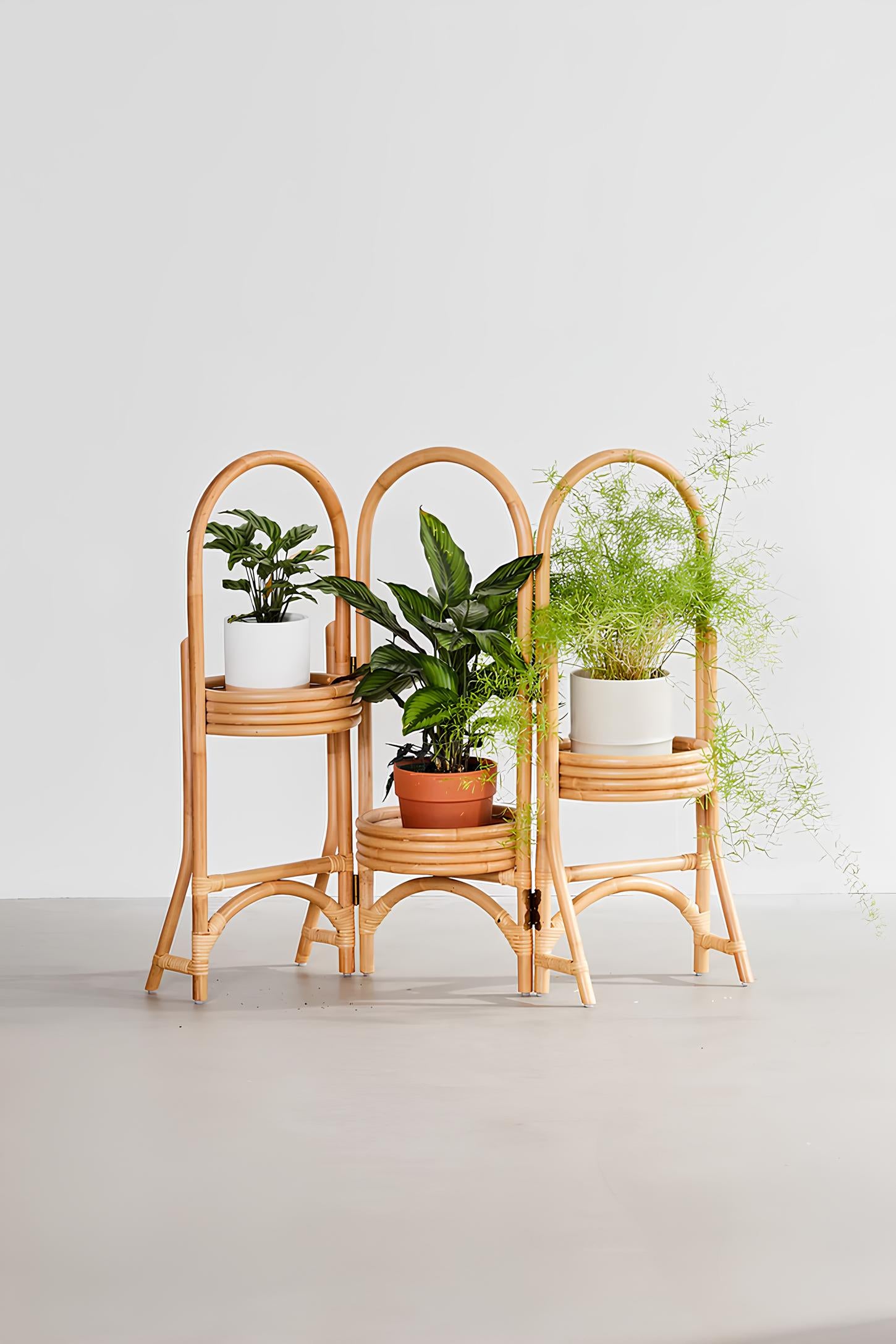 Rattan Plant Pots | Cane Flower Pots | Bamboo Planters - Kashvi - Akway