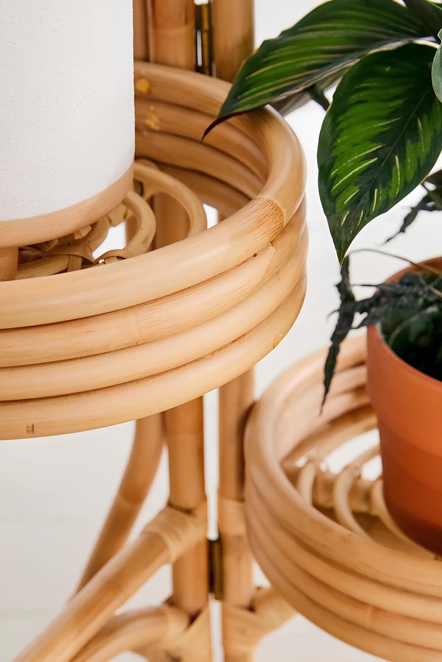 Rattan Plant Pots | Cane Flower Pots | Bamboo Planters - Kashvi - Akway