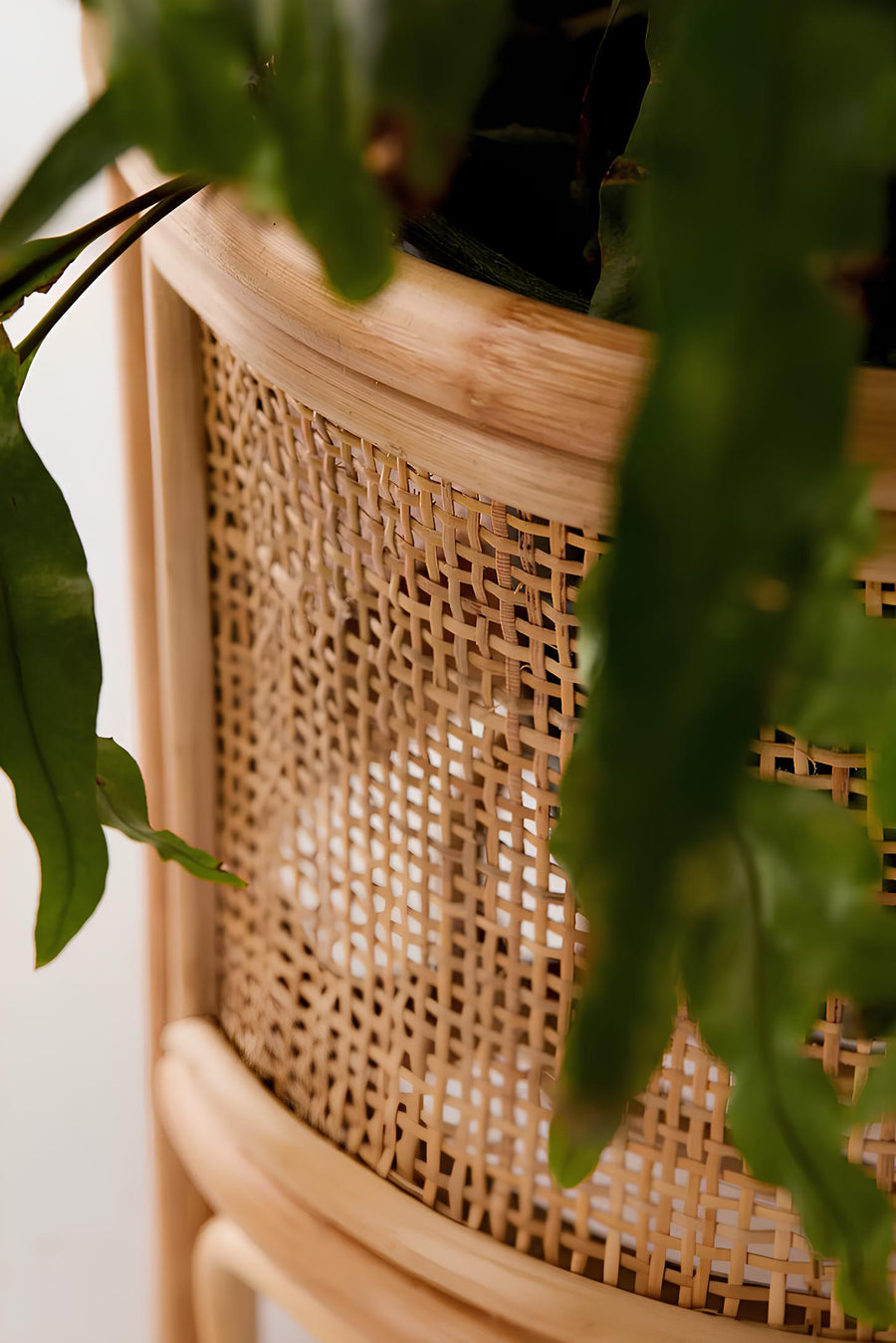 Rattan Planter | Cane Plant Pot for Indoor & Outdoor - Anala by Akway