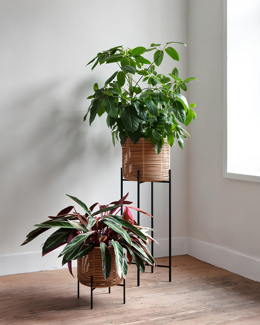 Rattan Planter Set of 4 | Bamboo Plant Pots for Living Room - Anaisha by Akway