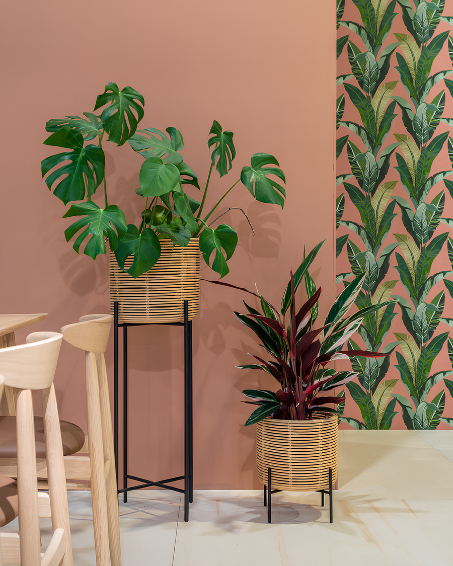 Rattan Planter Set of 4 | Bamboo Plant Pots for Living Room - Anaisha by Akway