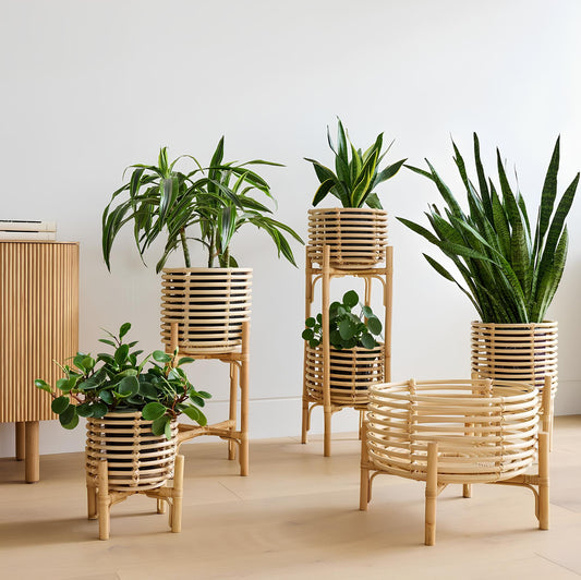 Rattan Plant Pots | Cane Flower Pots | Bamboo Planters - Ananya - Akway Home > Pots & Planters (Image 1)