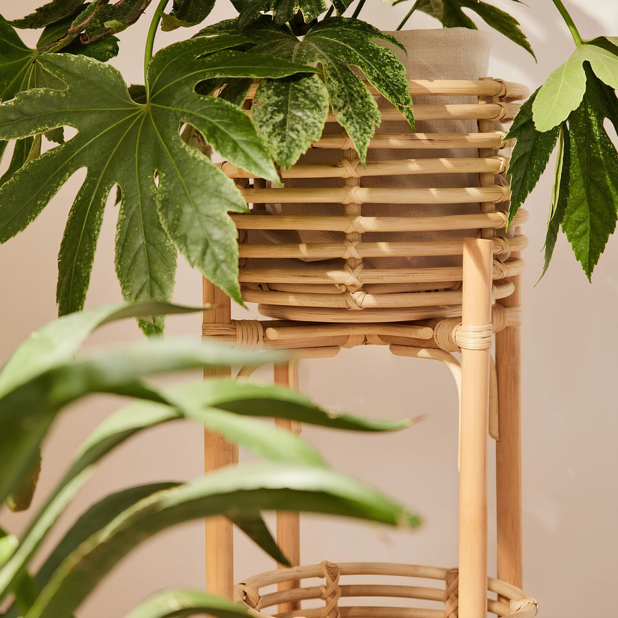 Rattan Planter with Stand | Bamboo Plant Pot in 5 Sizes - Ananya by Akway