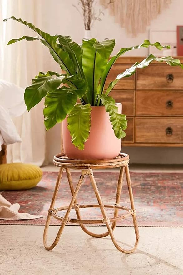 Handcrafted Rattan Planter Stand with Ceramic Pot – Boho & Cozy Home Décor - REVARY - Image 3