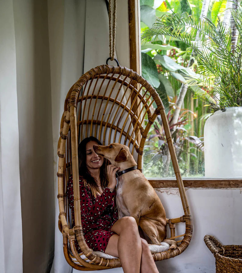 Bamboo Cane Swing Chair for Balcony & Patio - Asmee | Akway