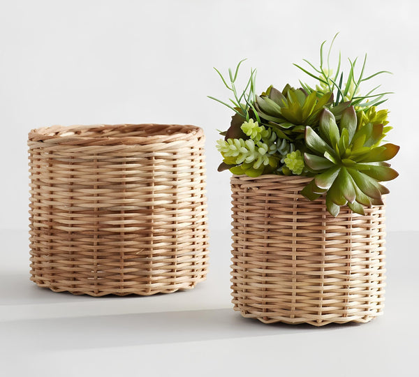 Indoor plant in a handmade rattan planter in an Indian living room