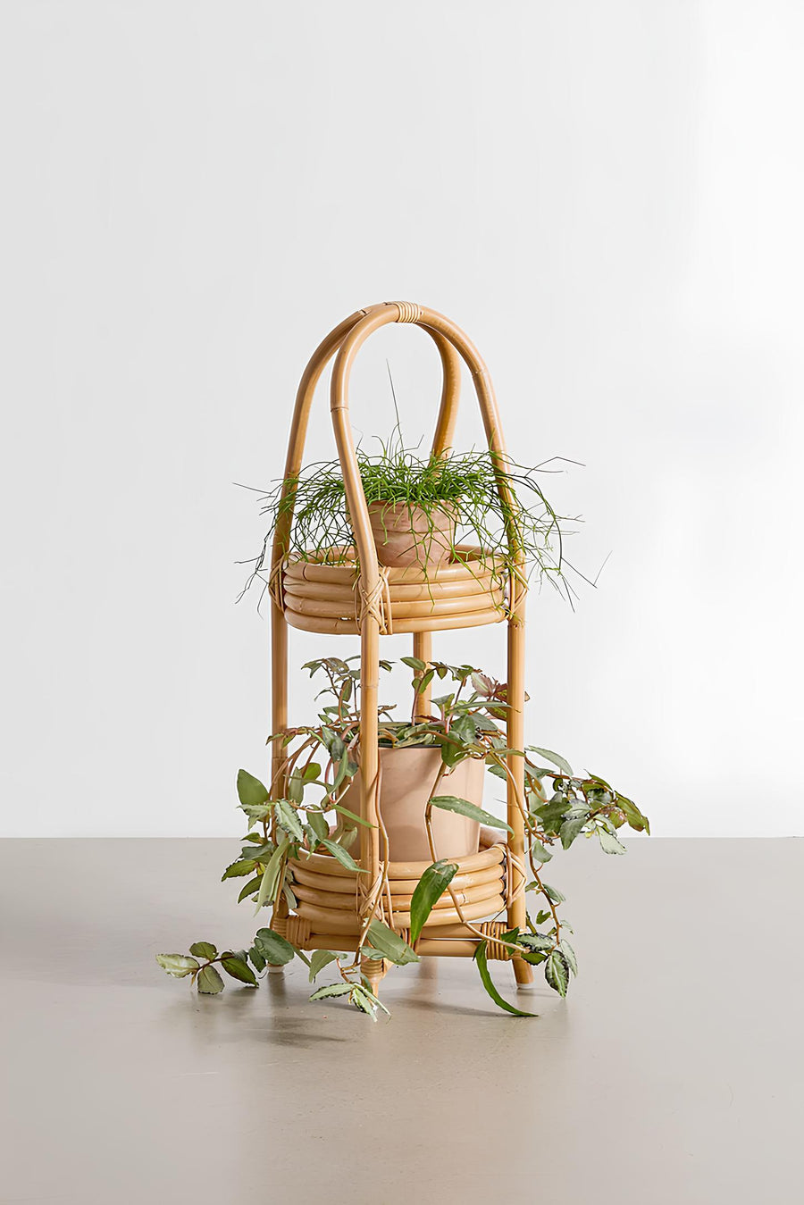 Rattan Plant Pots | Cane Flower Pots | Bamboo Planters - Kaia by Akway