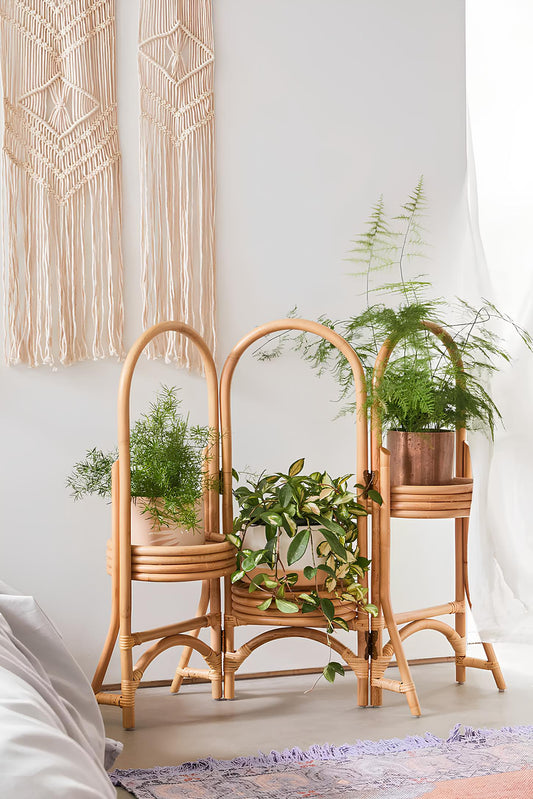 Rattan Plant Pots | Cane Flower Pots | Bamboo Planters - Kashvi - Akway