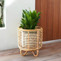Rattan Planter for Indoor - Kimaya