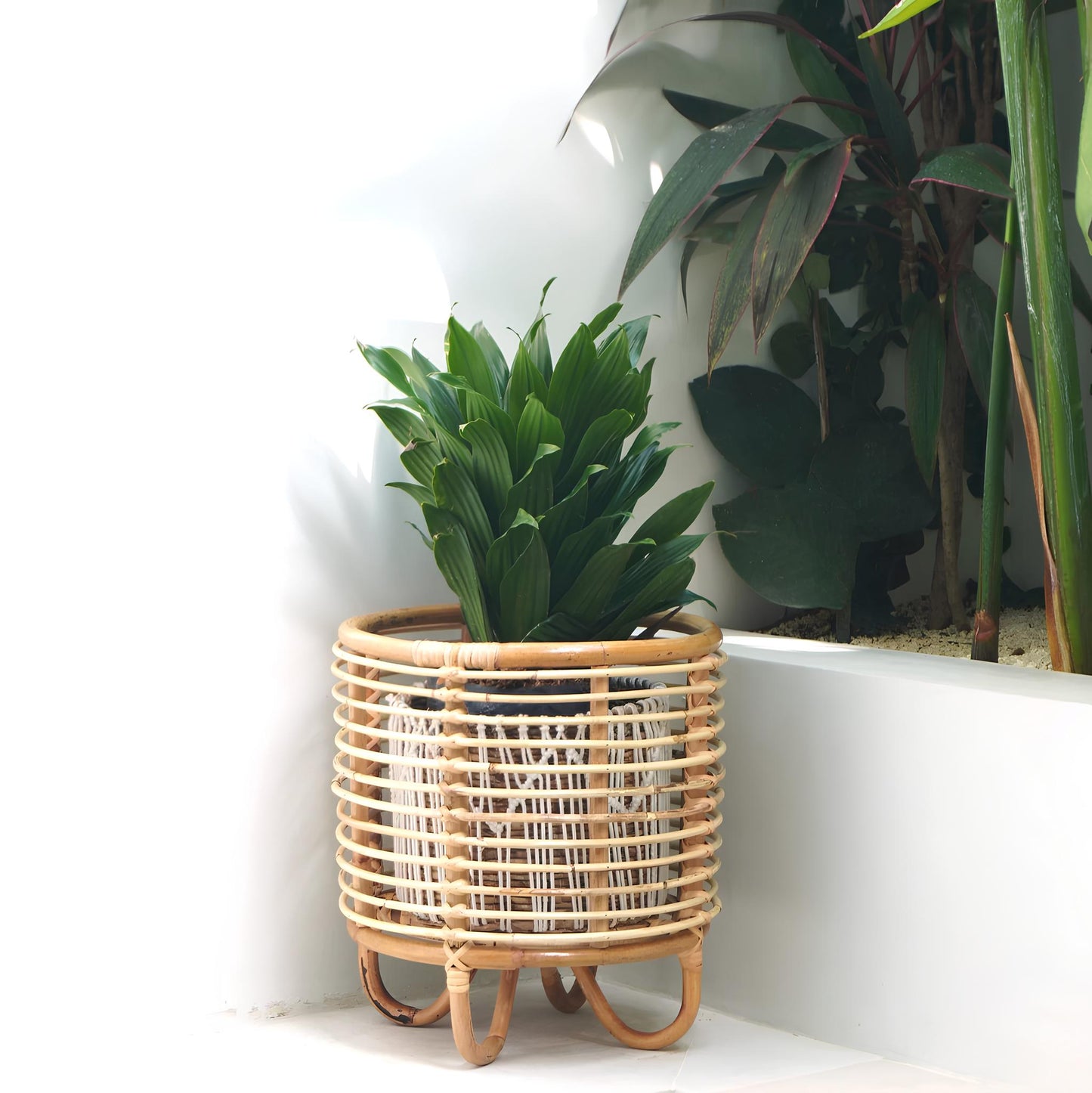 Rattan Plant Pots | Cane Flower Pots | Bamboo Planters - Kimaya - Akway