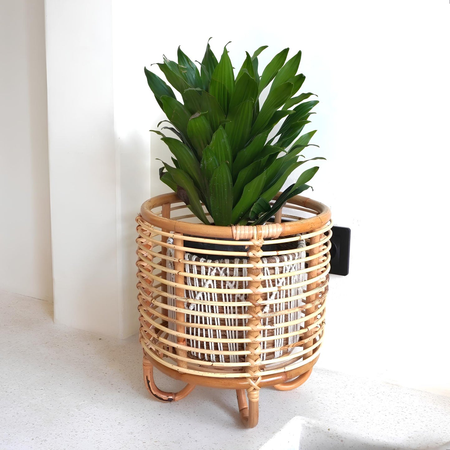 Rattan Plant Pots | Cane Flower Pots | Bamboo Planters - Kimaya - Akway