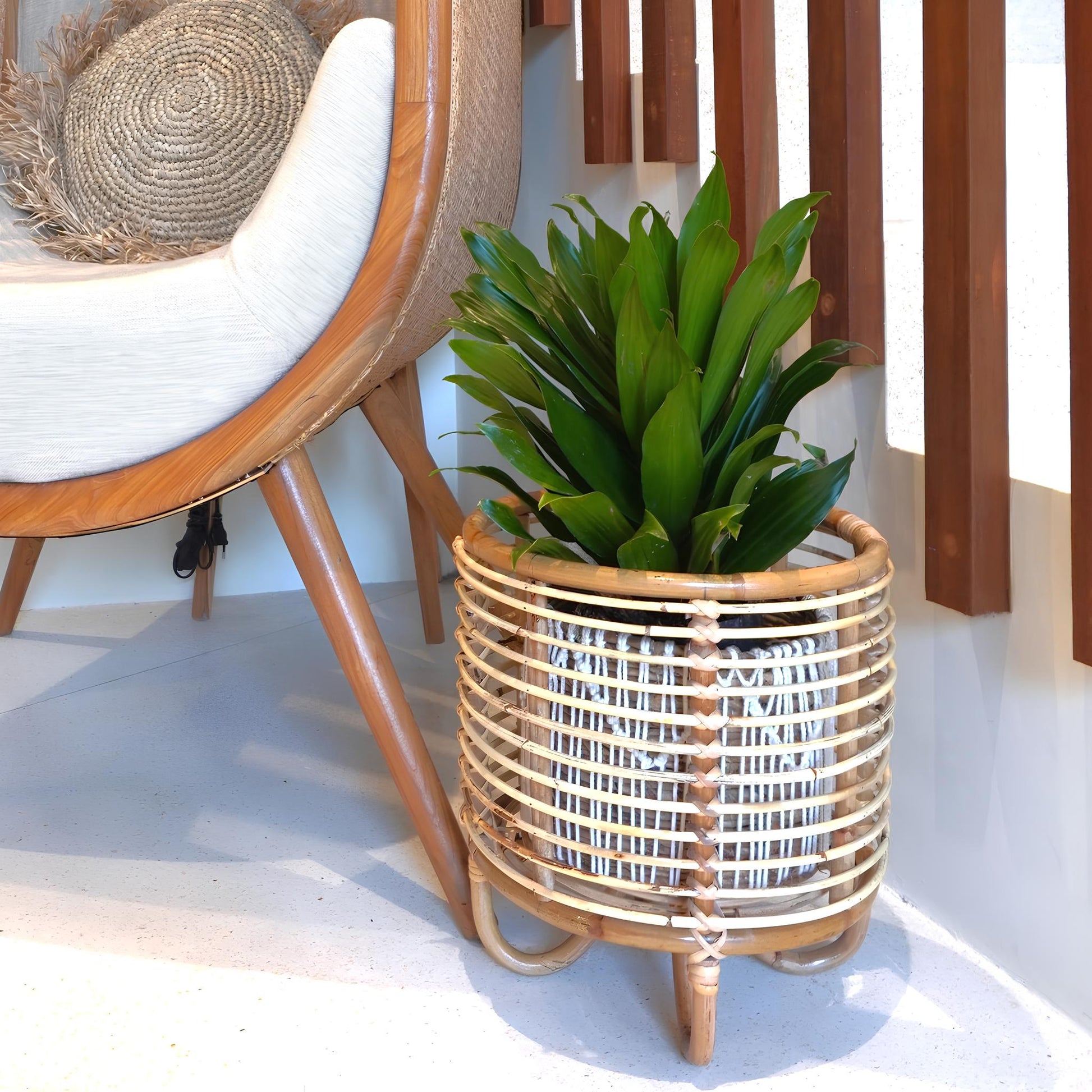 Rattan Plant Pots | Cane Flower Pots | Bamboo Planters - Kimaya - Akway