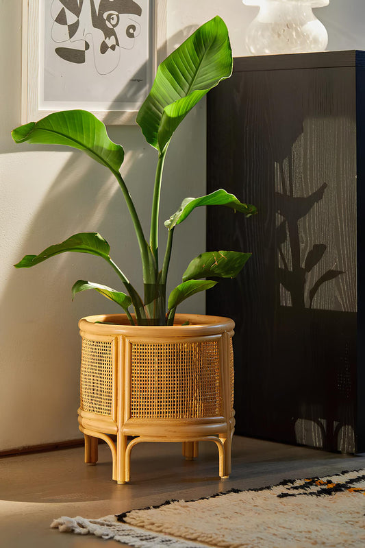 Rattan Plant Pot | Cane Flower Pot | Bamboo Planters - Anala - Akway