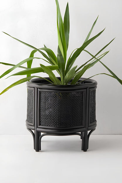 Rattan Plant Pots | Cane Flower Pots | Bamboo Planters - Adah - Akway