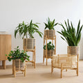 Rattan Planter with Stand - Ananya