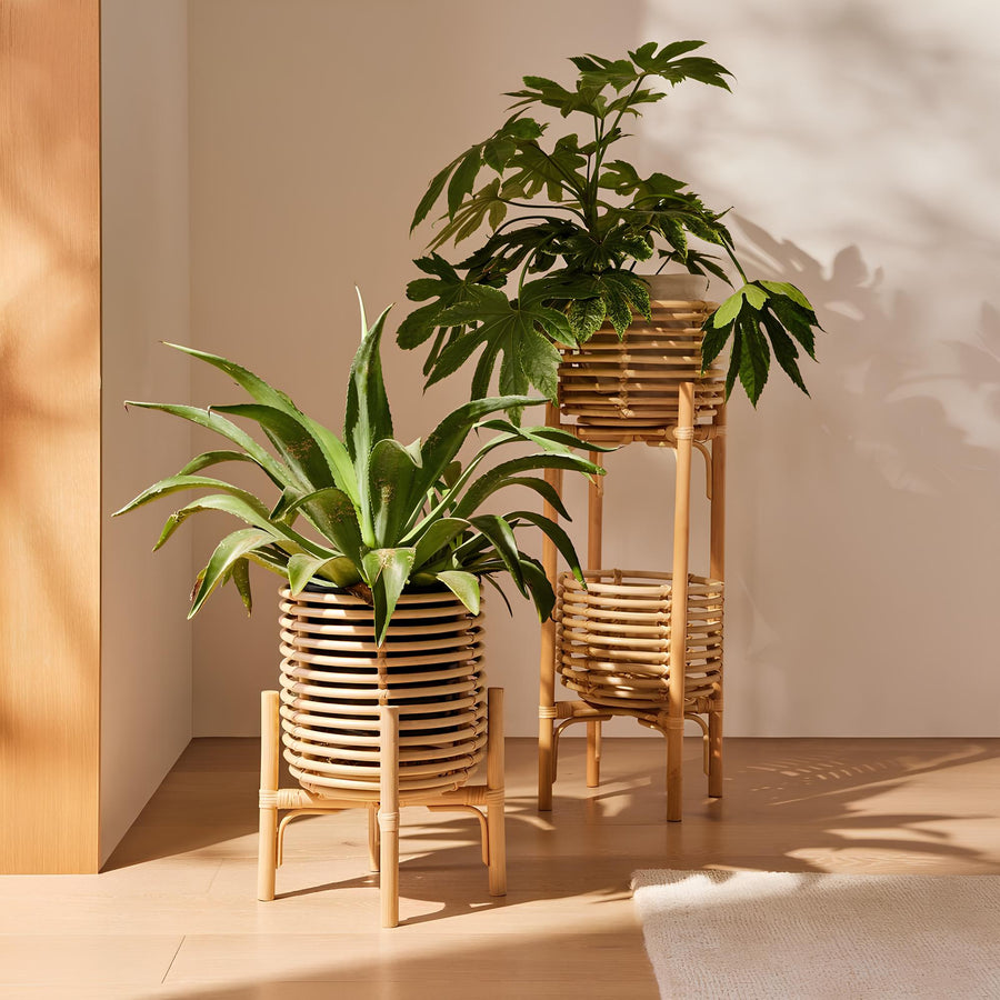 Rattan Planter with Stand | Bamboo Plant Pot in 5 Sizes - Ananya by Akway