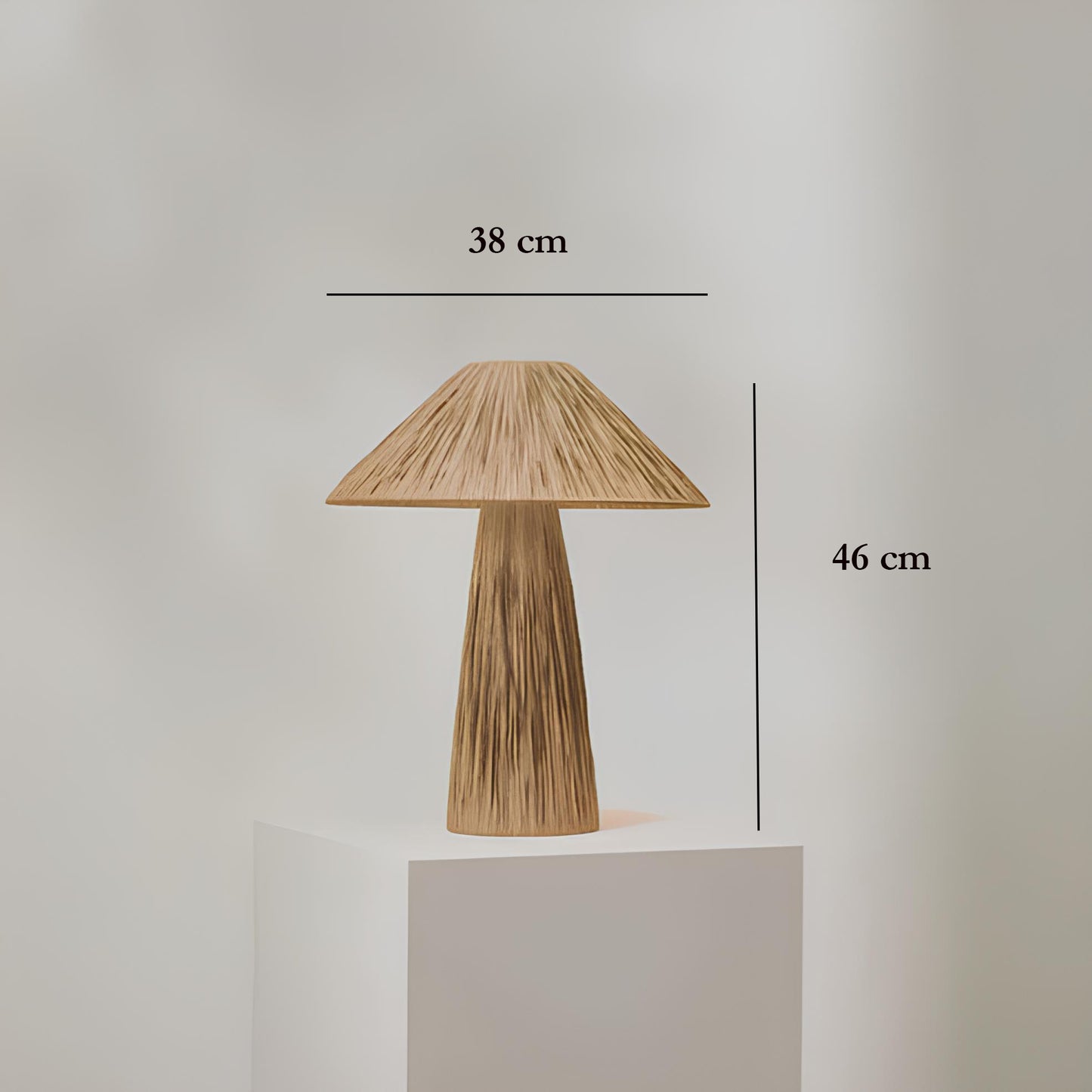 Rattan Table lamp for Living room | Bamboo Bedside table lamp | Cane Table lamp - Anala