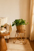 Rattan Plant Stand for Indoor Plants - Revary
