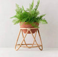 Rattan Planter for Indoor - HEVERY