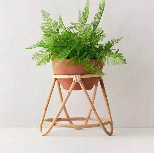 Rattan Planter for Indoor - HEVERY