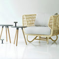 Cane Lounge Chair for Living Room - Kashvi