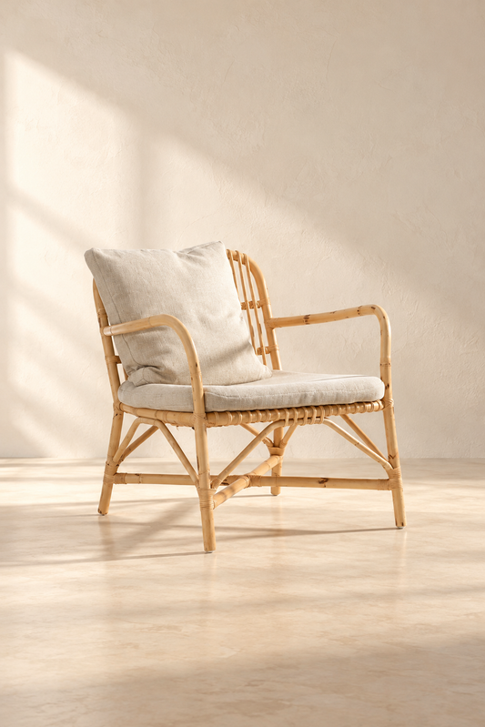 Cane Chairs for Lounge | Bamboo Chairs for Living Room - Ananya by Akway - Furniture > Chairs