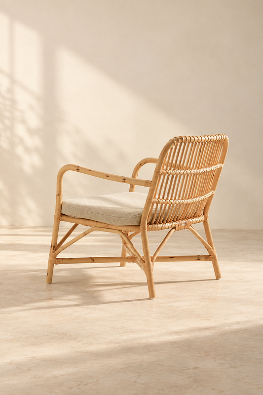 Cane Chairs for Lounge | Bamboo Chairs for Living Room - Ananya by Akway - Furniture > Chairs
