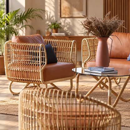 Cane Chairs for Lounge | Bamboo Chairs for Living Room - Kashvi by Akway - Furniture > Chairs
