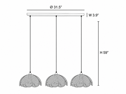Rattan Hanging  Light for Living Room - ROGAN
